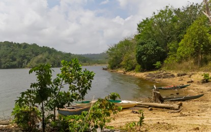 <p>LAKE MANGUAO REHABILITATION. The provincial government of Palawan and the Development Bank of the Philippines partner to reforest Lake Manguao, a key biodiversity area located in the northern provincial town of Taytay. <em>(Photo by Celeste Anna R. Formoso)</em></p>